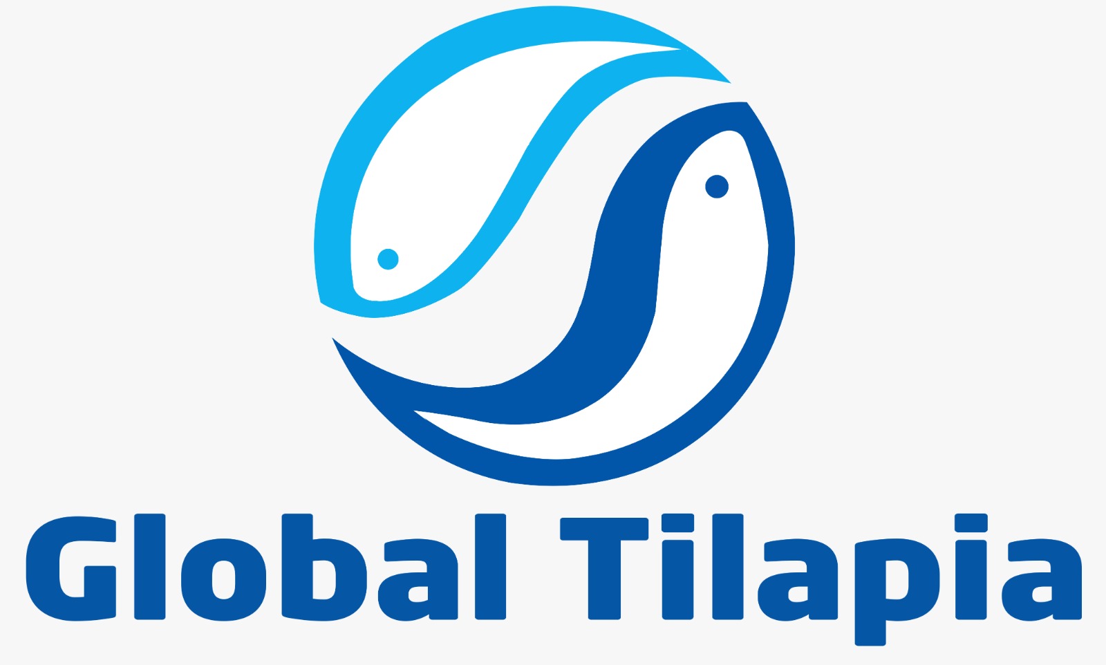 Global Tilapia