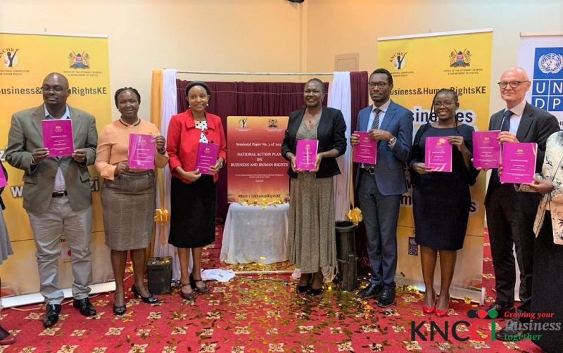 Launch of the National Action Plan (NAP) on Business and Human Rights ...