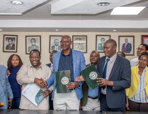 Enhancing employment opportunities through labor export