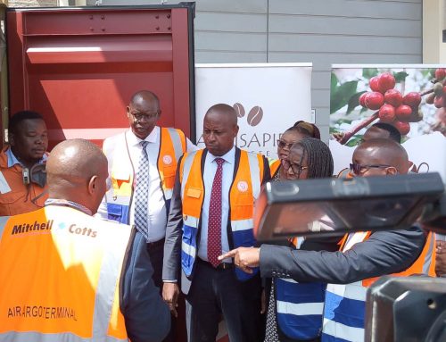 Kenya Flags Off First Shipment of Green Coffee Beans to Italy’s Trieste Port
